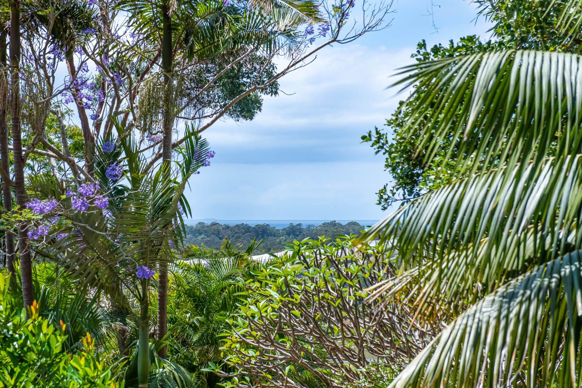 91 Johnsons Road, Sandy Beach NSW 2456, Image 2