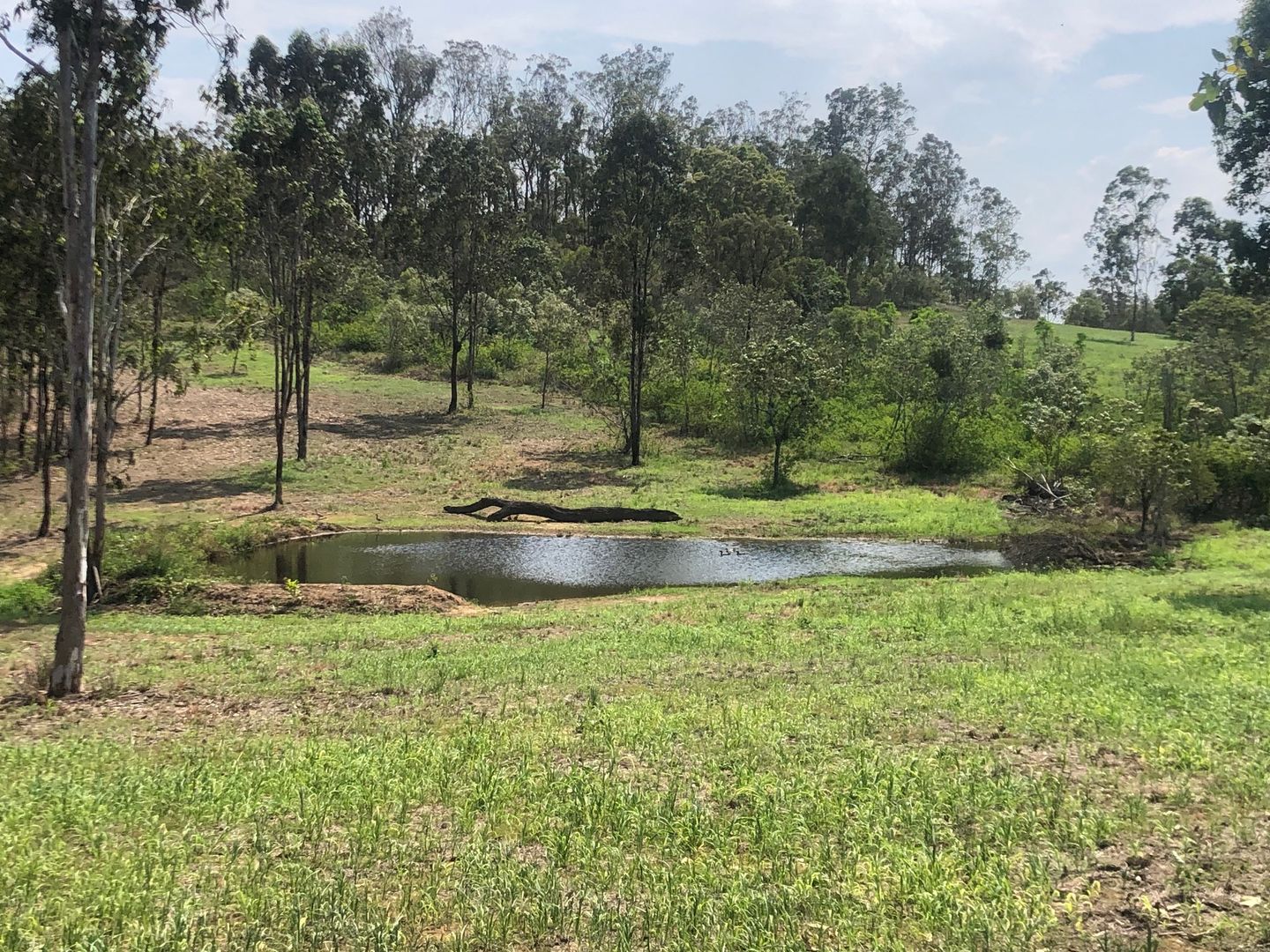 Lot 6 Pipers Road, South Kolan QLD 4670, Image 2