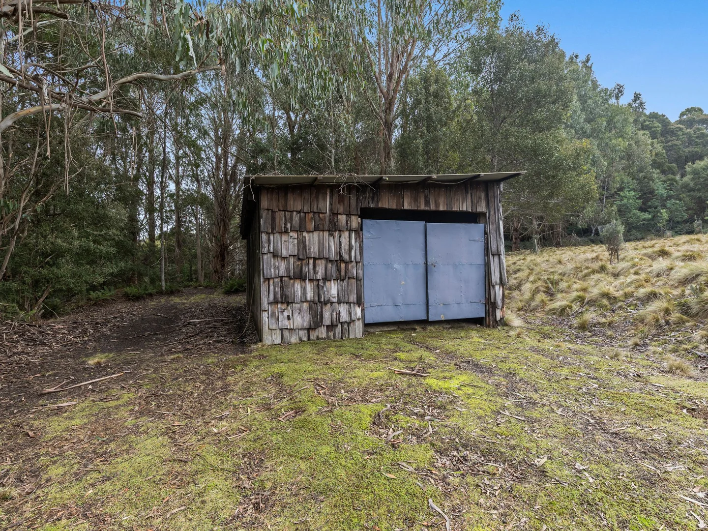 Image 22
