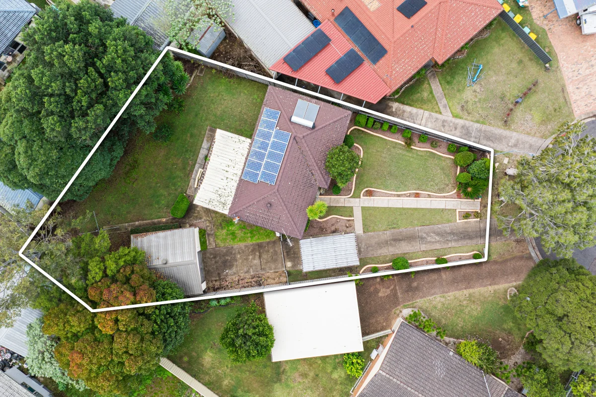 Image 11