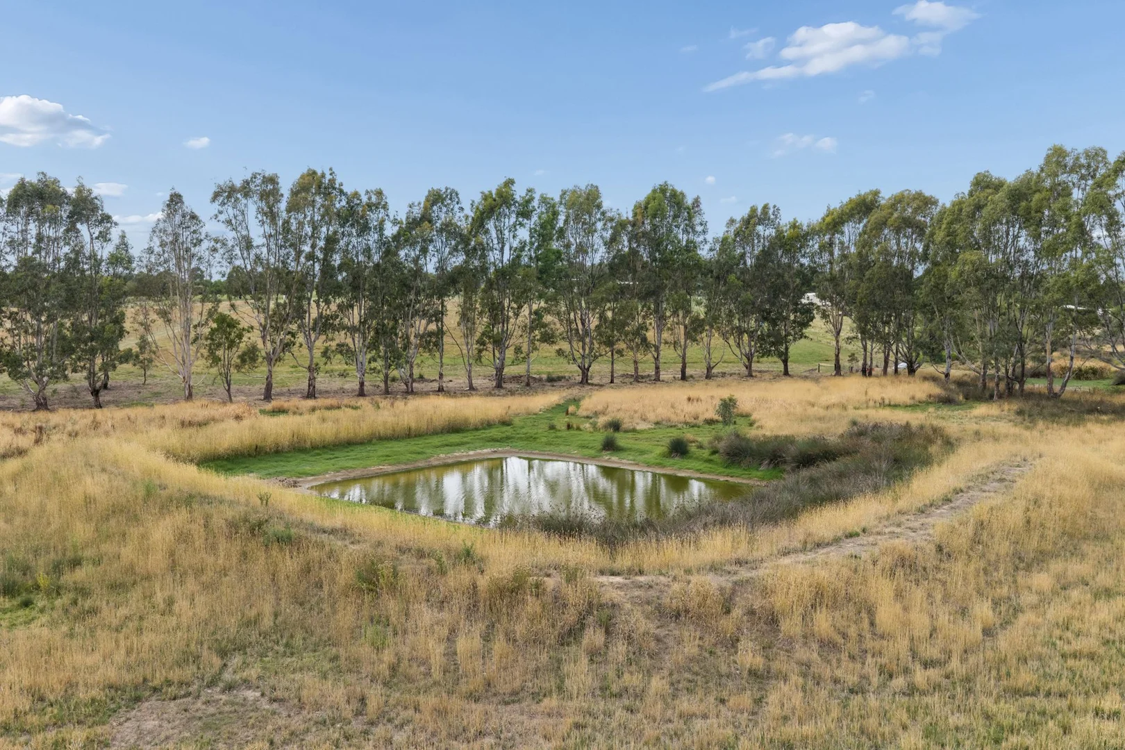 Additional image 20 of 39 Saines Estate Road, Young NSW 2594