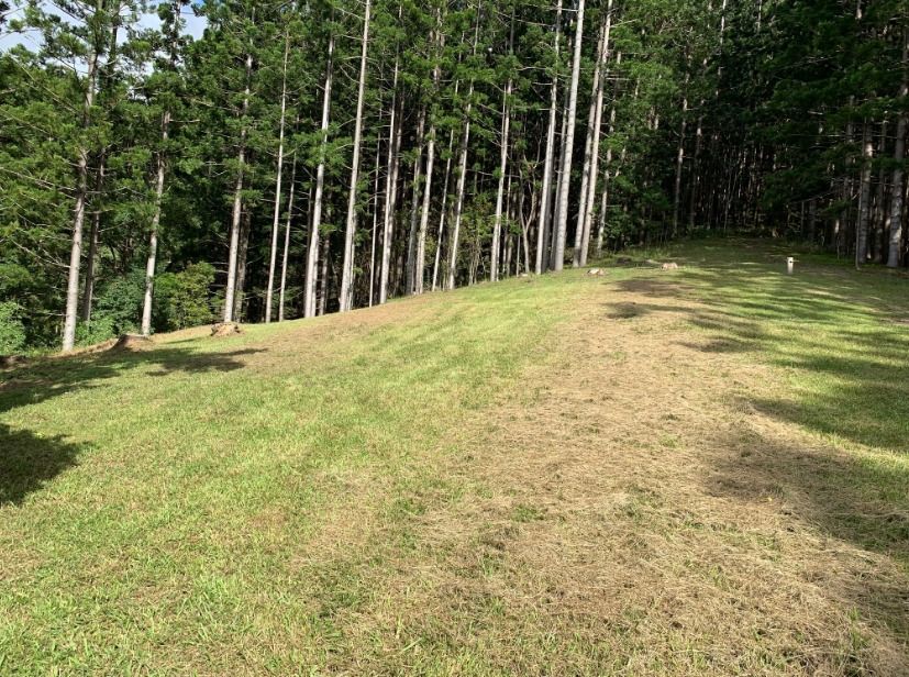 Vacant land in , CURRUMBIN VALLEY QLD, 4223