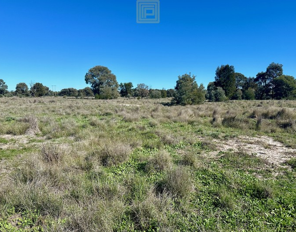 933 Nuable Road, Yarrie Lake NSW 2388