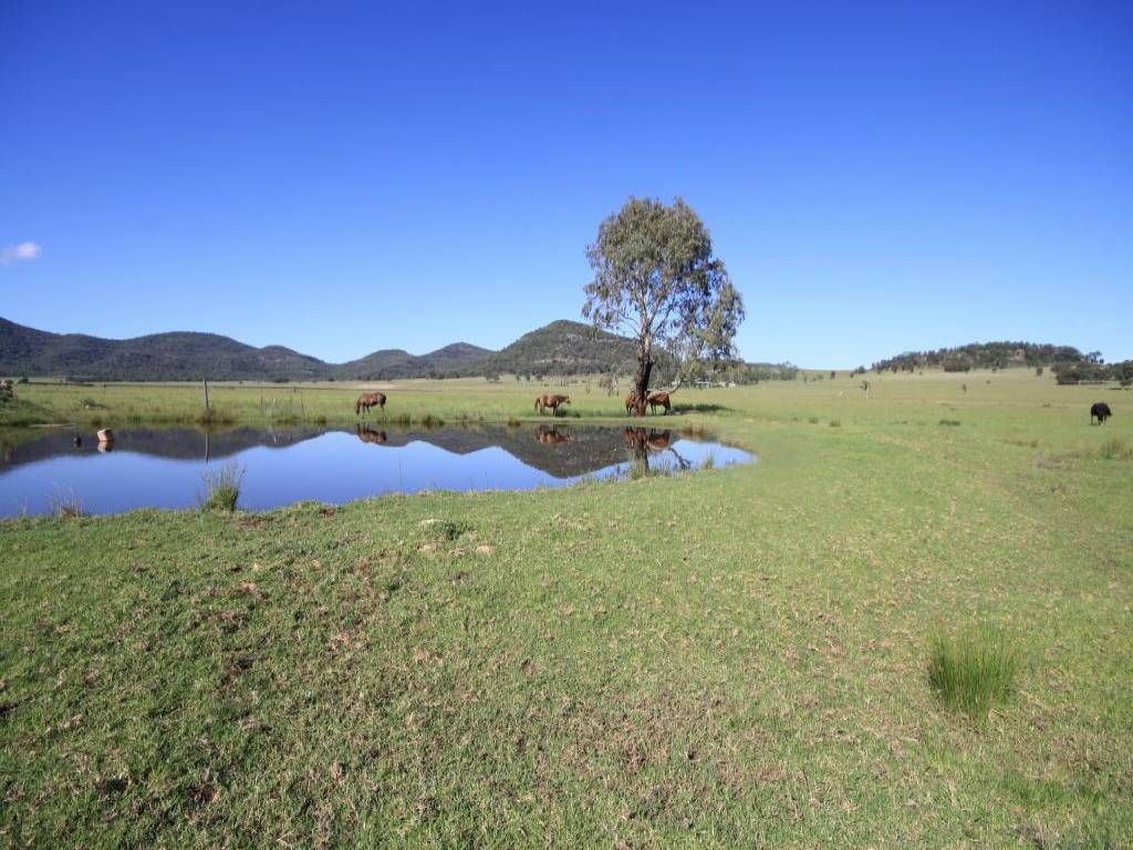 1010 Bylong Valley Way, Baerami NSW 2333, Image 2