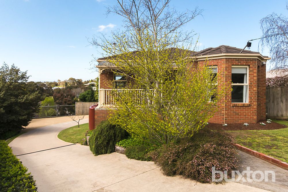 53 Wandana Drive, Wandana Heights VIC 3216, Image 1