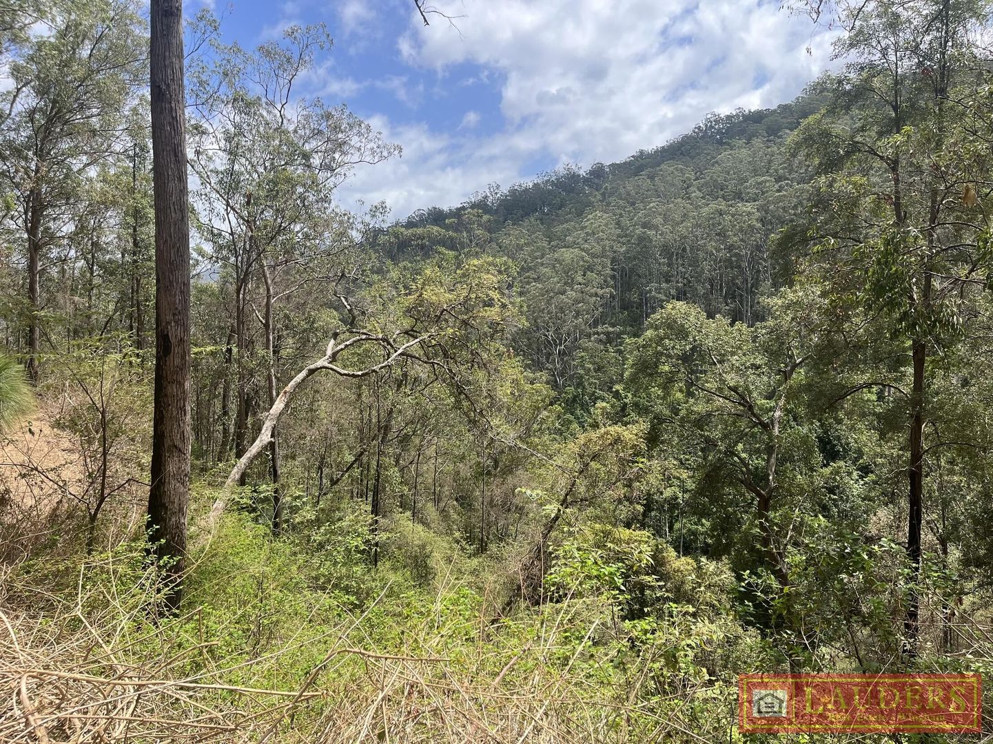 Connollys Creek Road, Mount George NSW 2424, Image 2