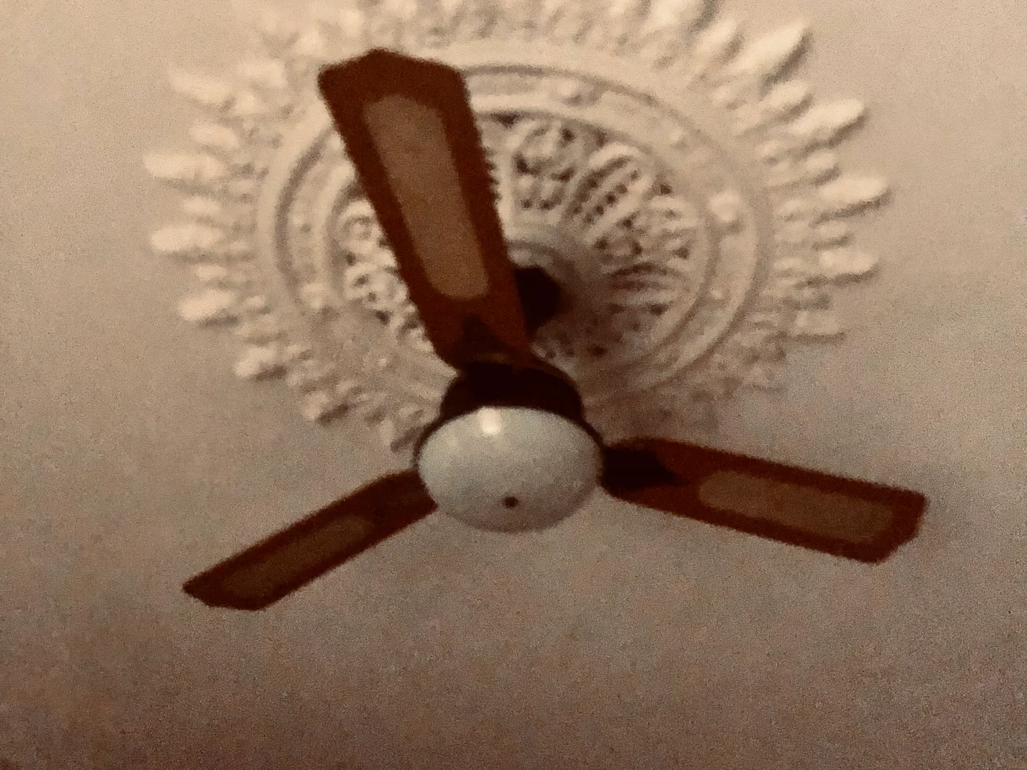 Image 13