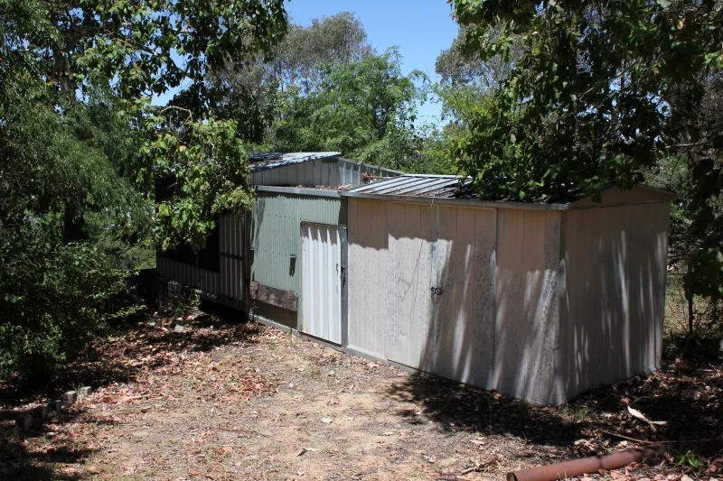 Image 11