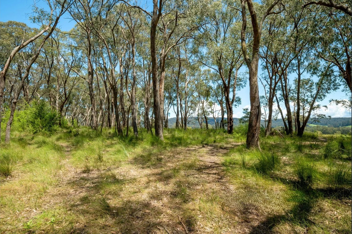 Additional image 25 of 155 Hazeldene Road, Gladysdale VIC 3797