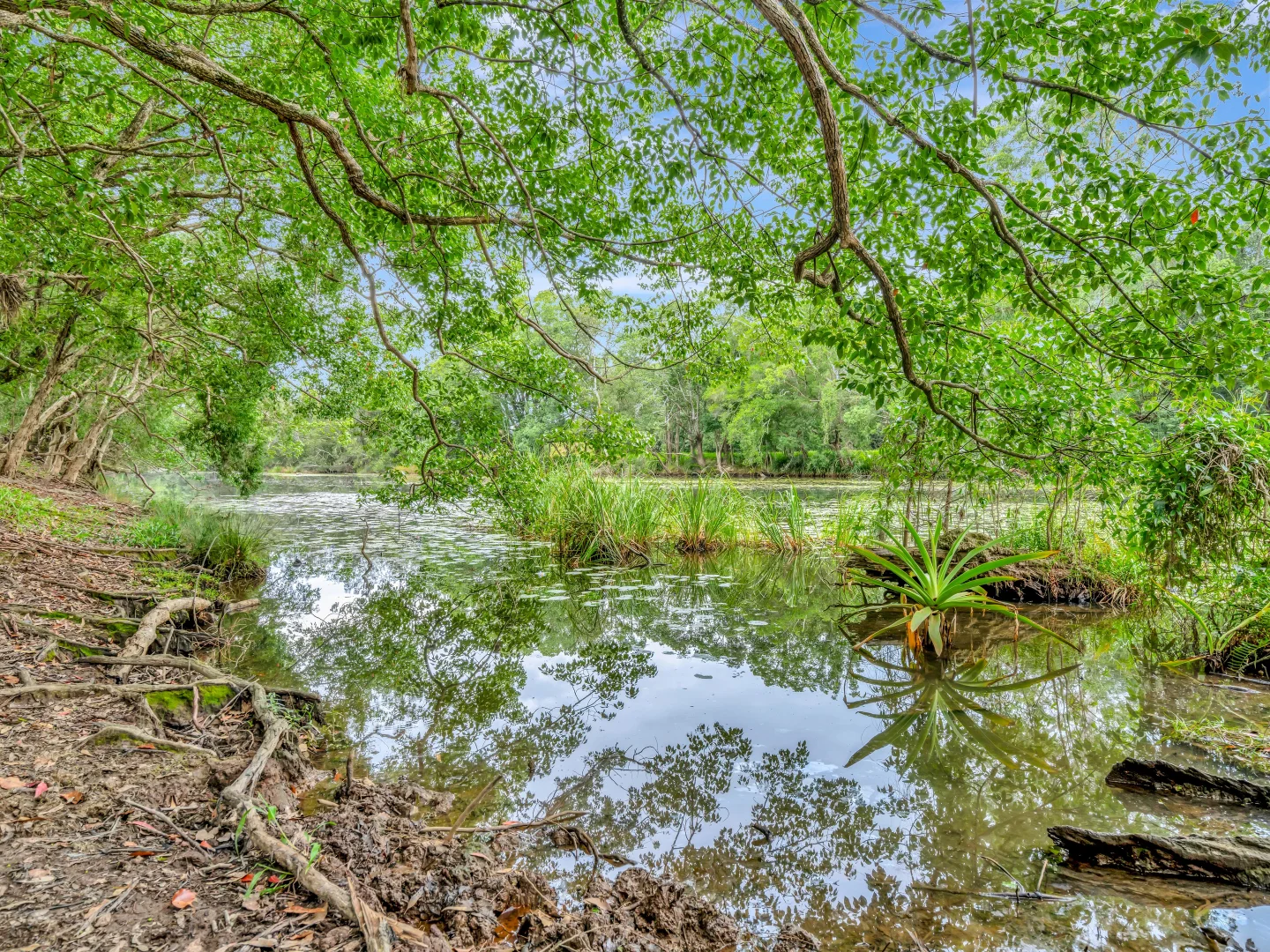 Additional image 33 of 395 Upper Warrell Creek Road, Congarinni NSW 2447