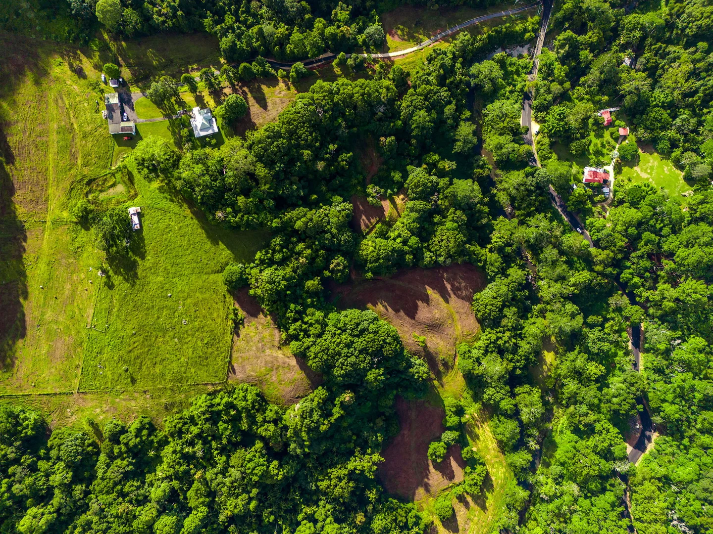 Additional image 14 of 1028 Wilsons Creek Road, Wilsons Creek NSW 2482