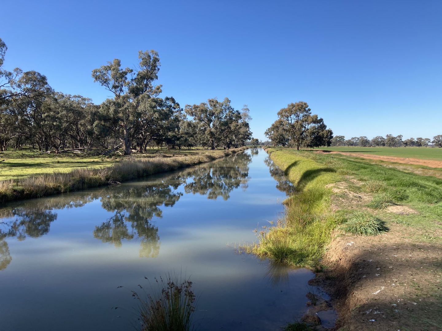 The Springs, Perricoota Road, Barham NSW 2732 House for Sale