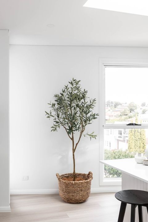 3 bedrooms Townhouse in 7/18A Falcon Street SHELLHARBOUR CITY CENTRE NSW, 2529