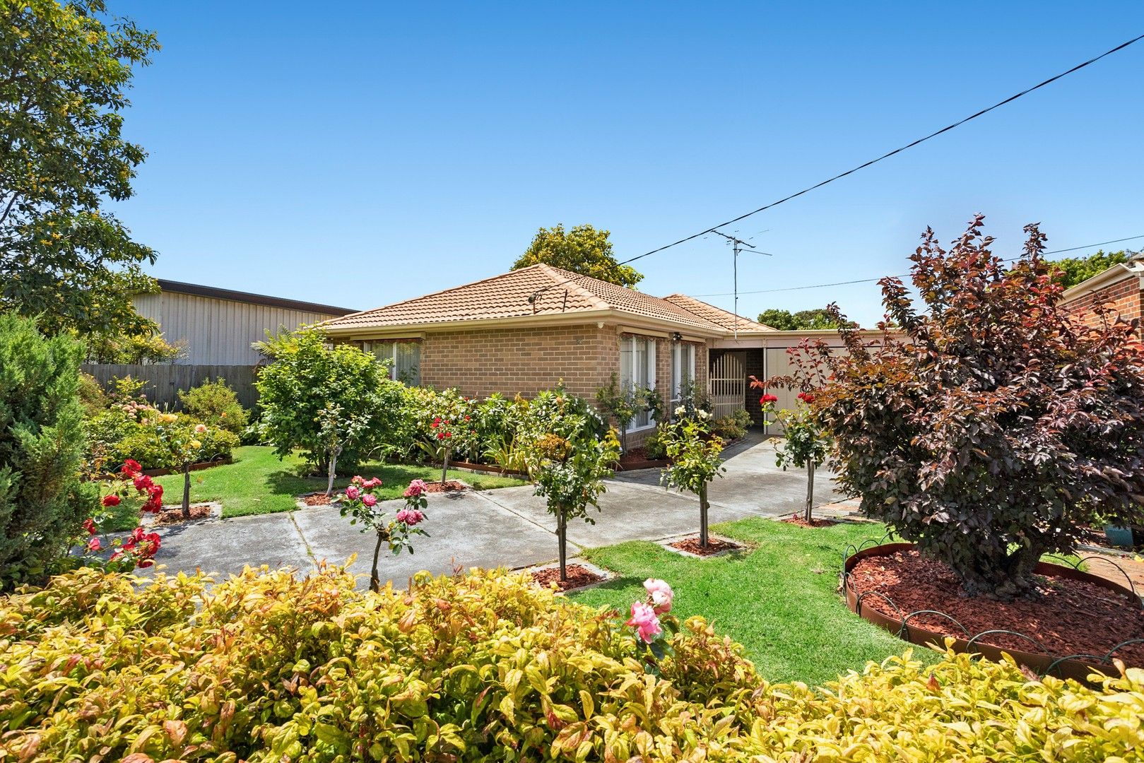 36 Whyte Street, Capel Sound VIC 3940, Image 0