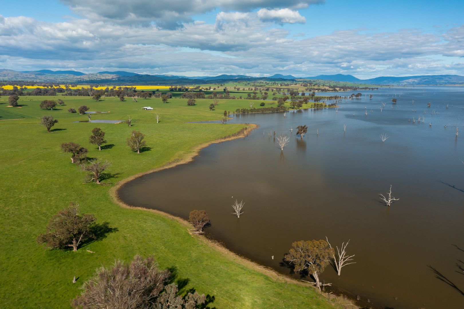 Clancy Road, Table Top NSW 2640, Image 2