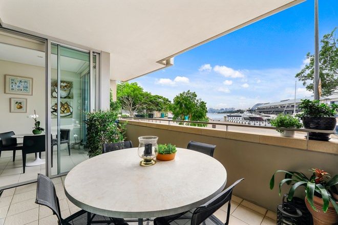 Picture of 102/15 Pirrama Road, PYRMONT NSW 2009