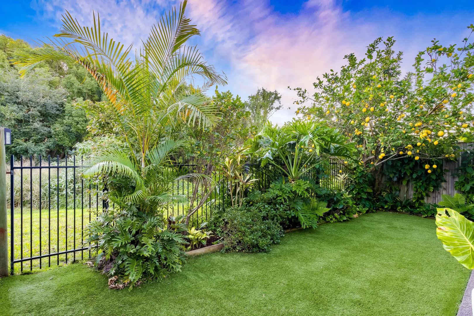 Image 21