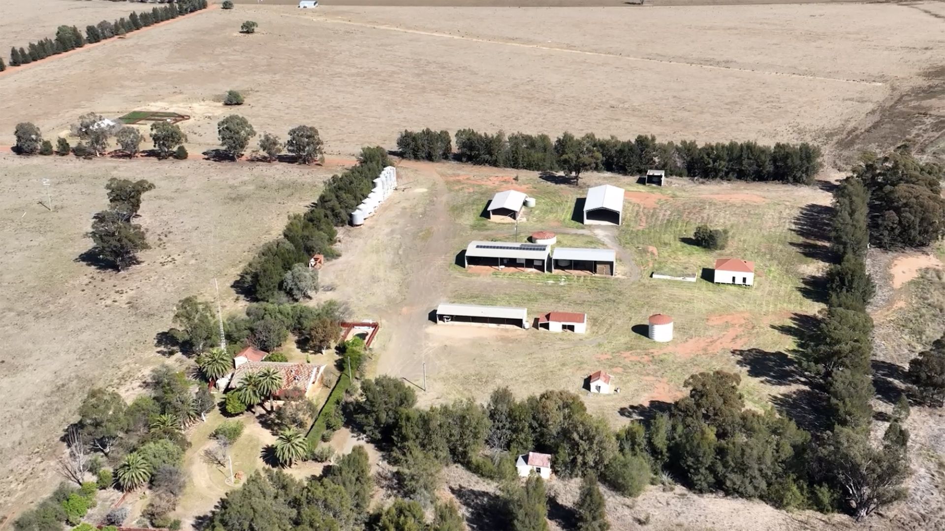 'Bruie' 2765 Bruie Plains Road, Trundle NSW 2875, Image 1