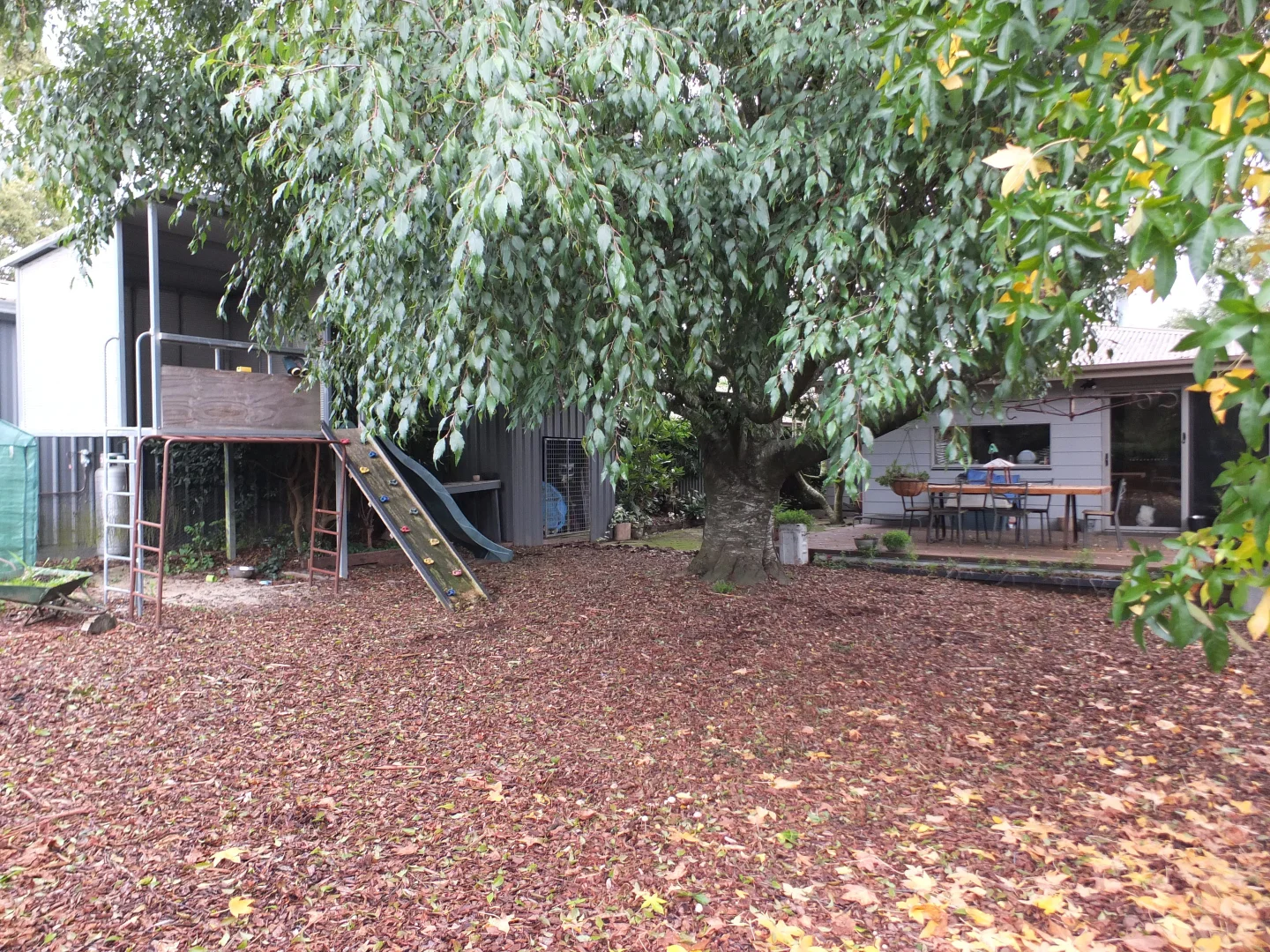 Image 19