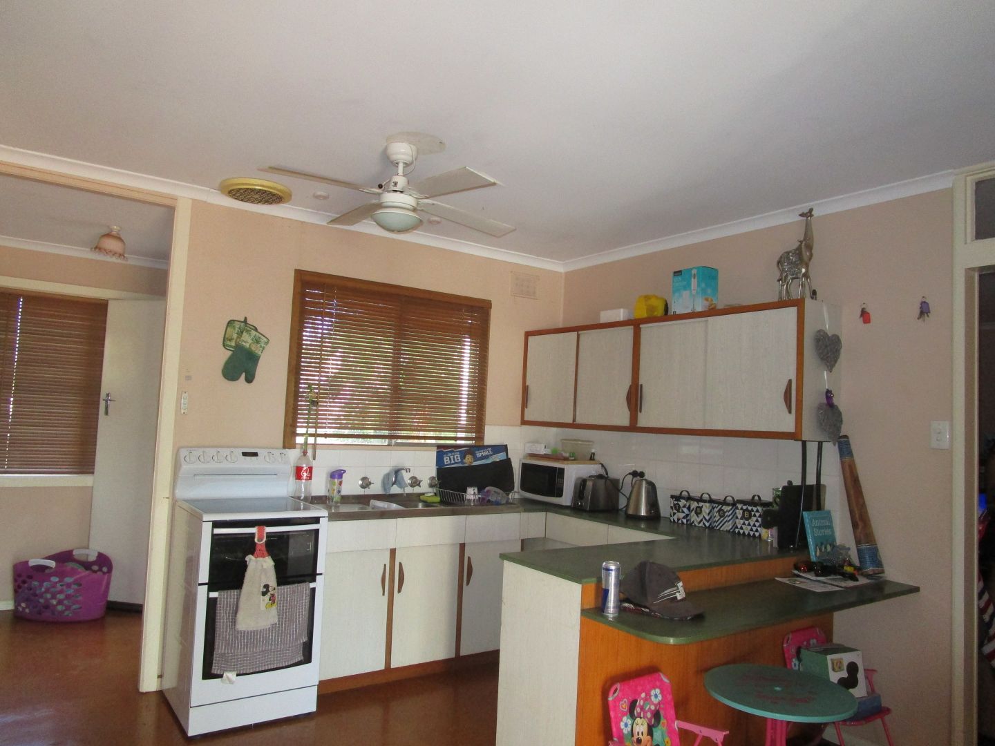 100 Bassham Road, Barmera SA 5345, Image 1