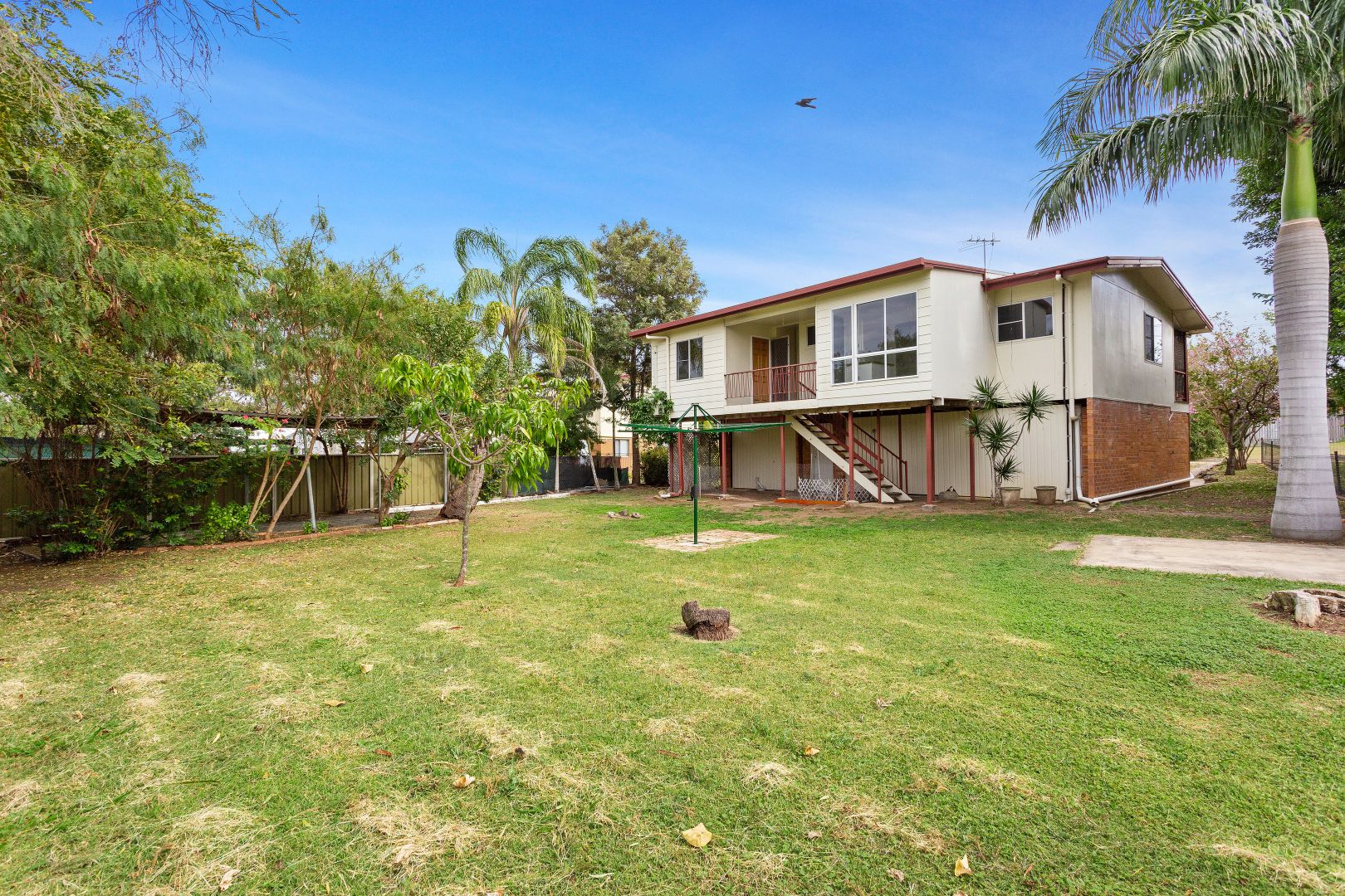 3 Stenlake Ave, Kawana QLD 4701 House For Rent Domain