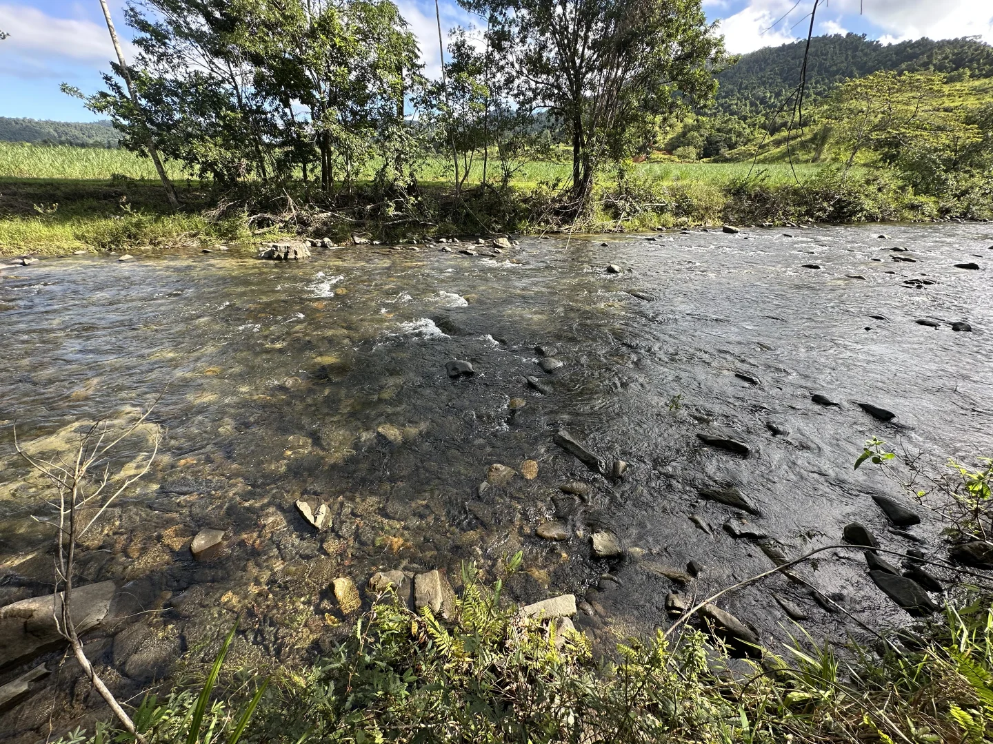 Image 12
