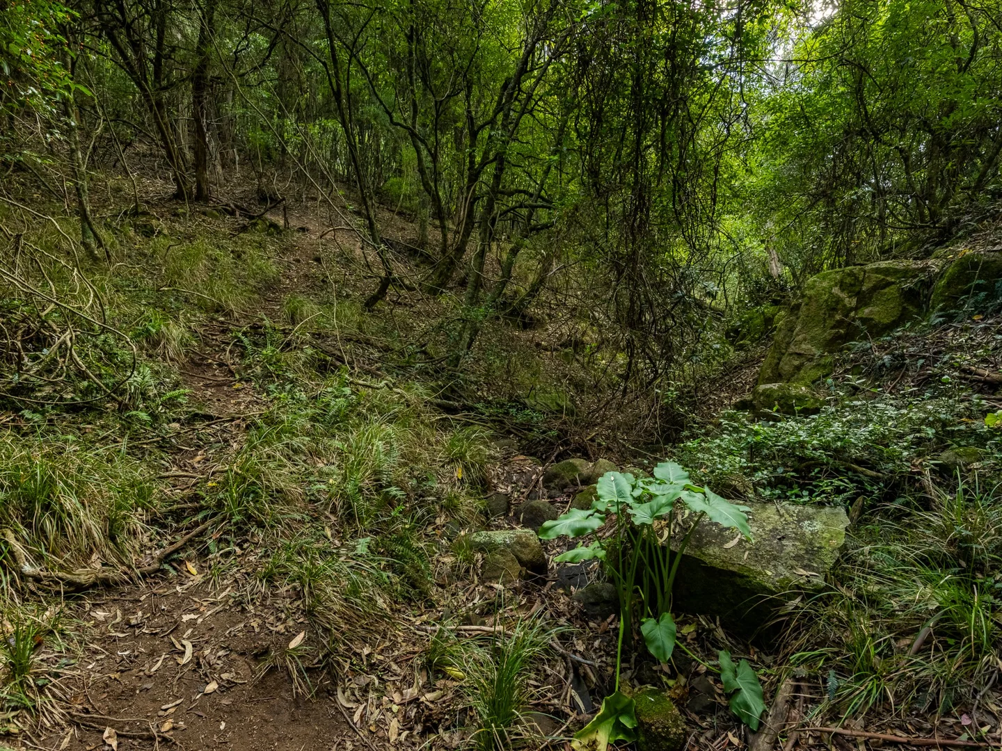 Image 12