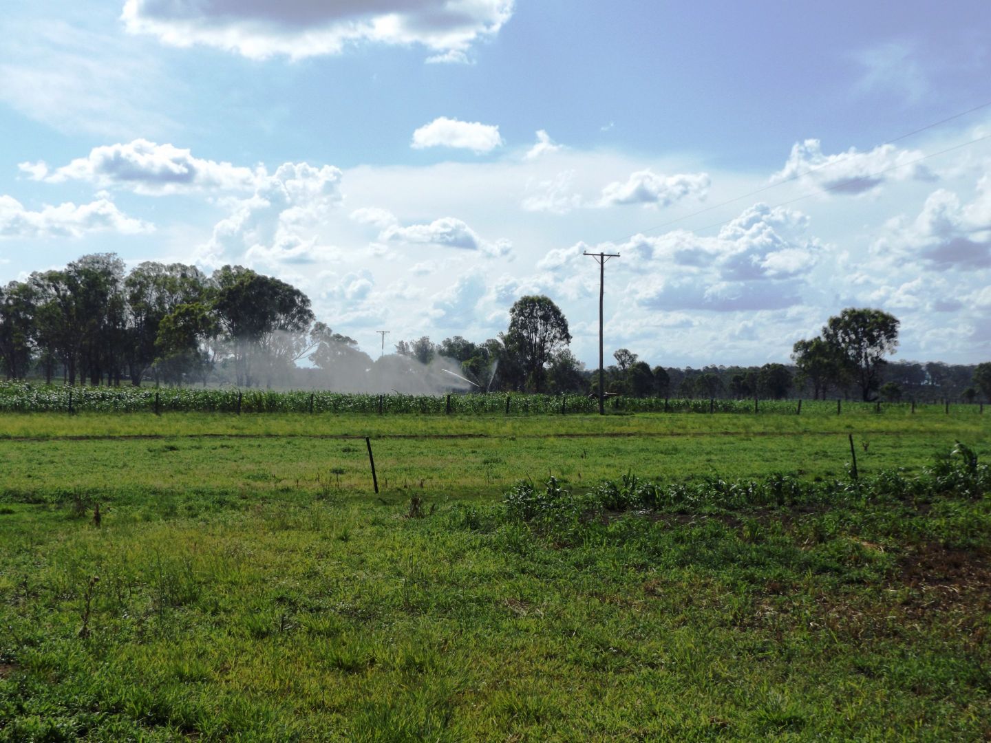 134 Kings Bridge Road, Nanango QLD 4615, Image 1