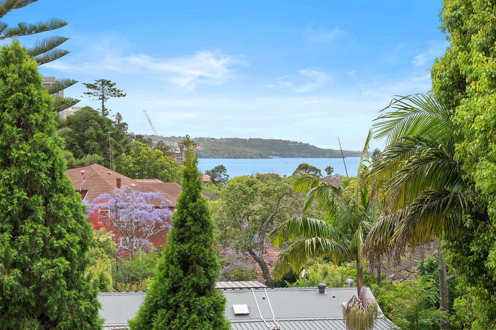 11/250 New South Head Road, Double Bay NSW 2028, Image 0