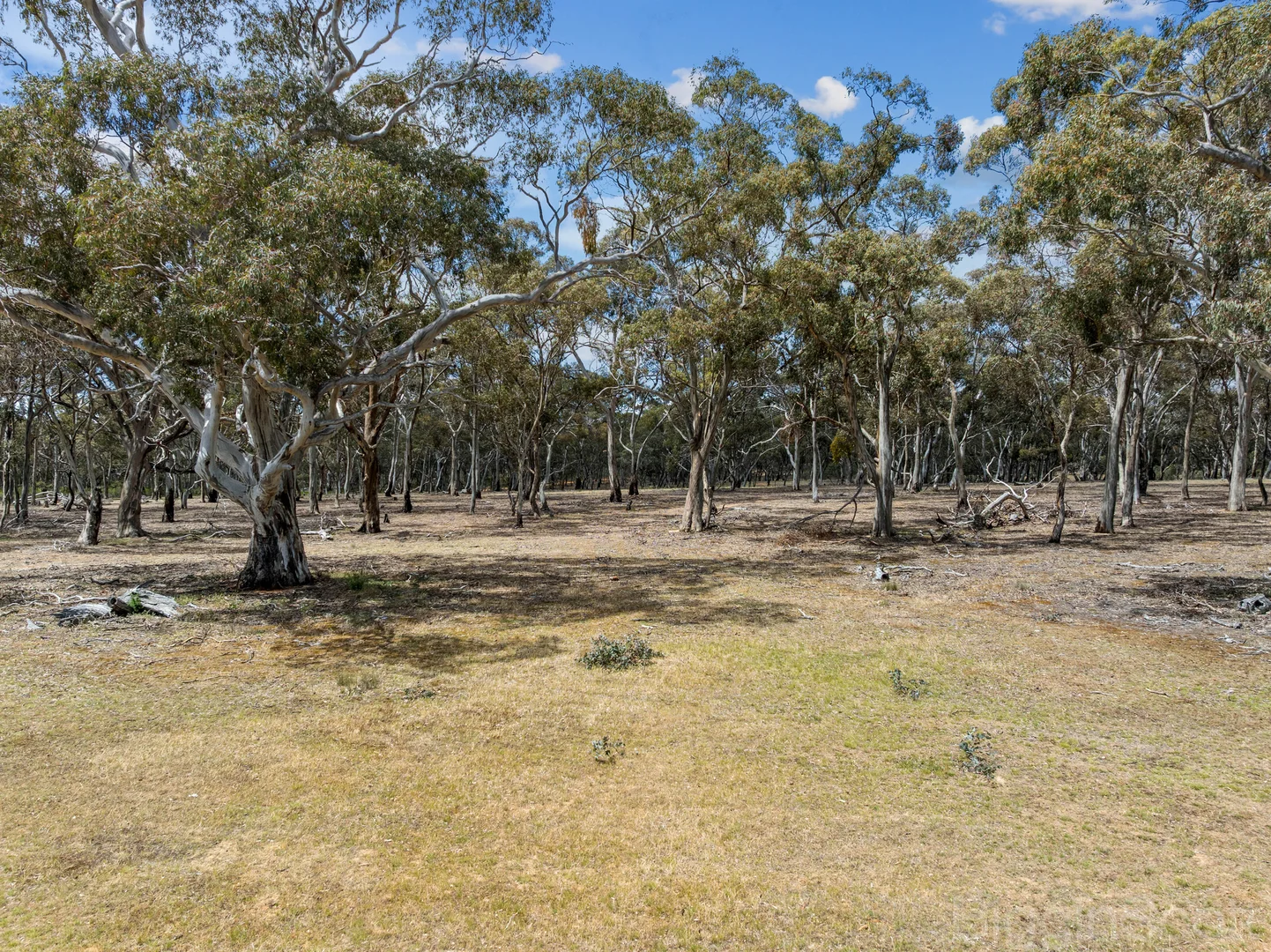 Image 14