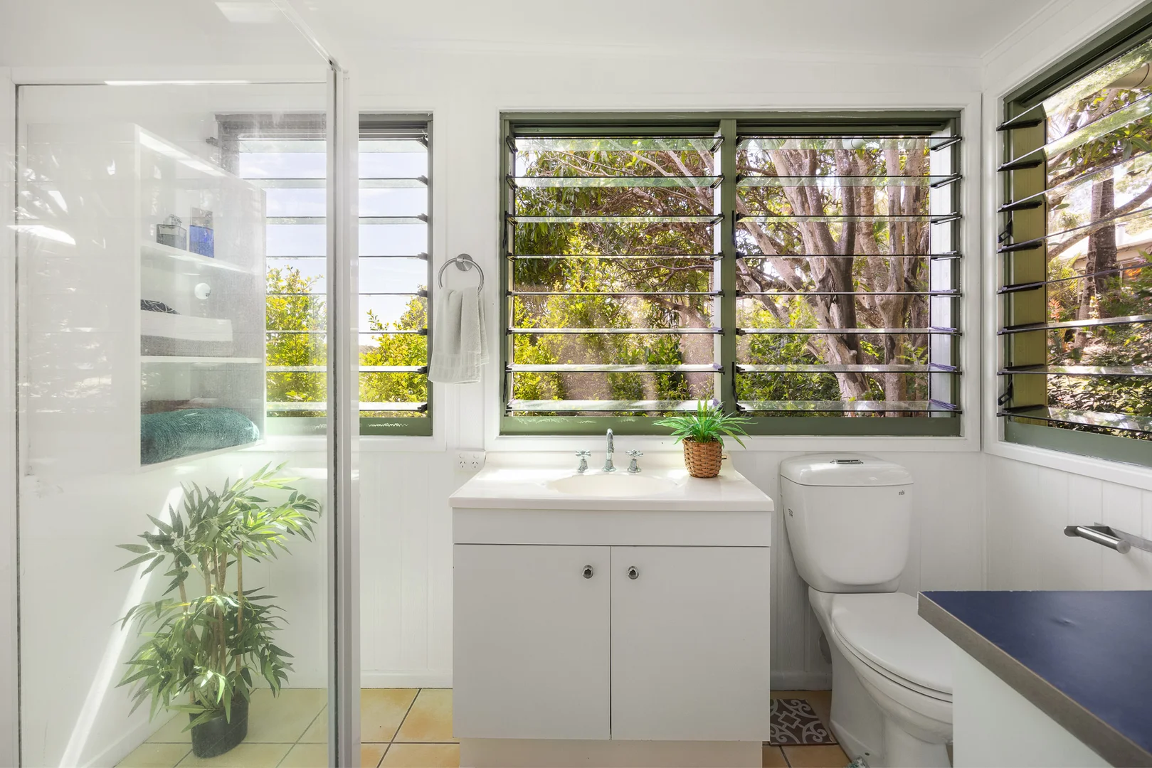 Additional image 20 of 262 Cooroy Mountain Road, Cooroy Mountain QLD 4563