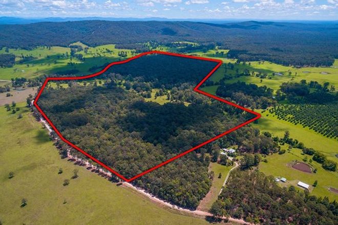 Picture of 1215 Lawrence - Tullymorgan Road, TULLYMORGAN NSW 2463