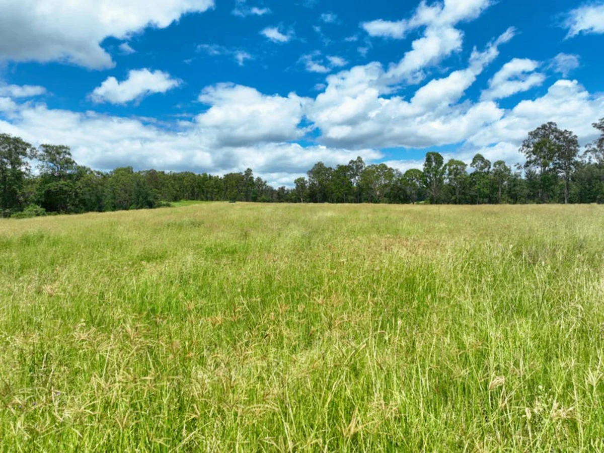 Image 15