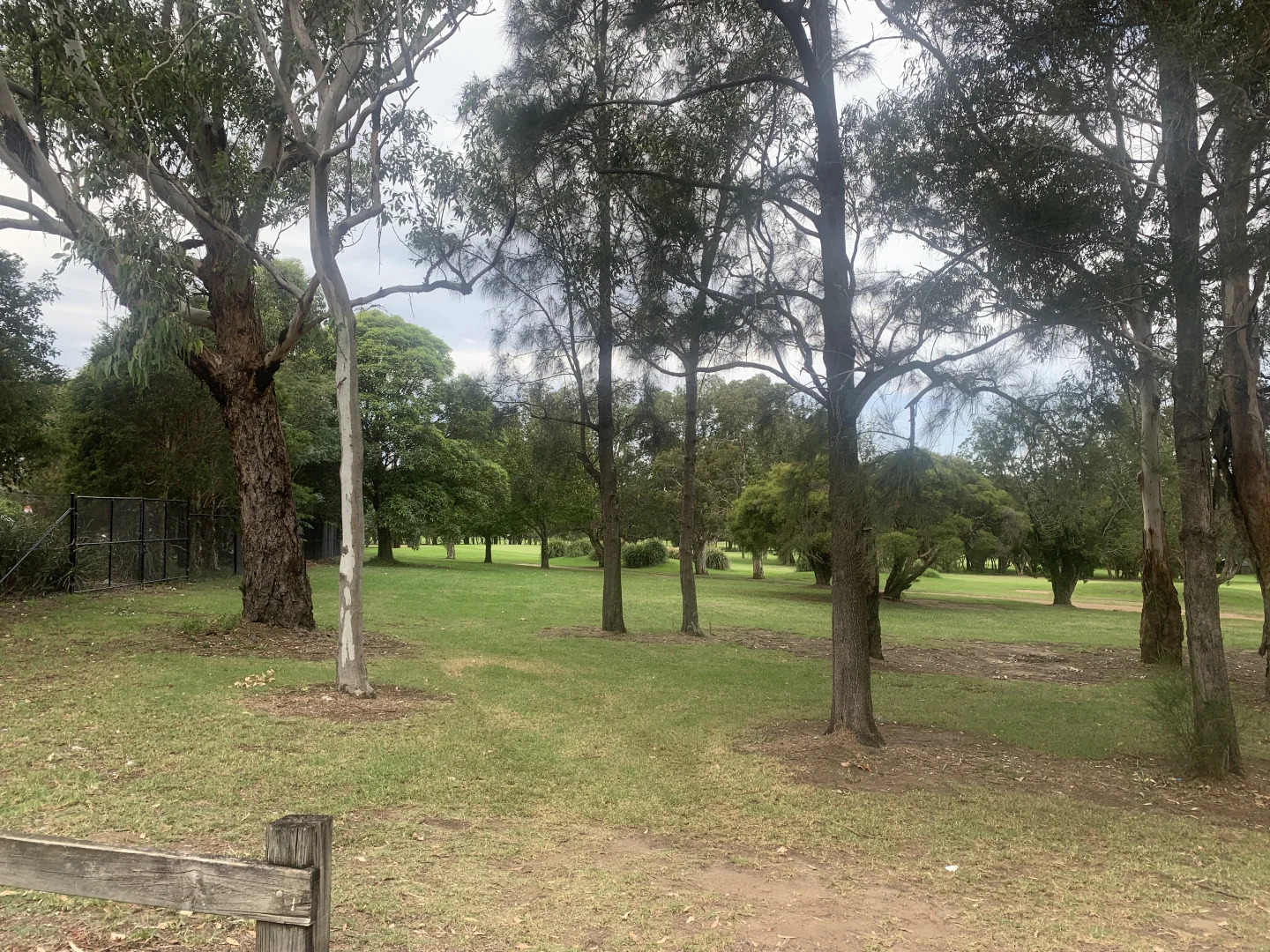 Additional image 5 of 5/171 Moorefields Rd, Roselands NSW 2196