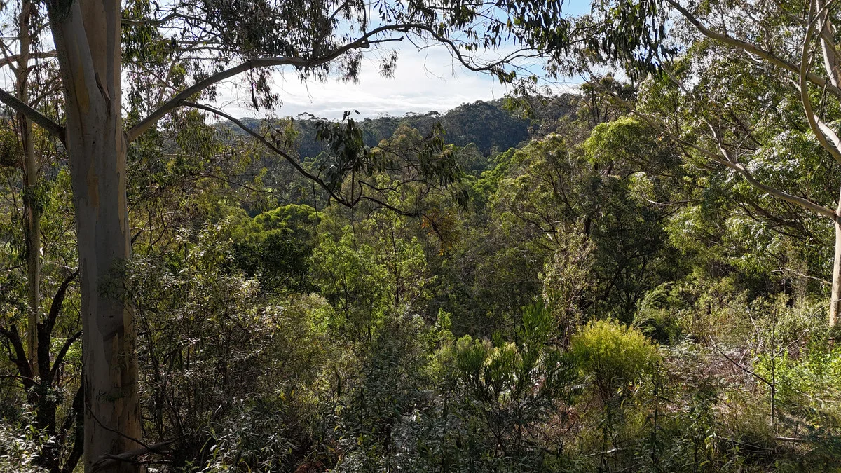 Image 19