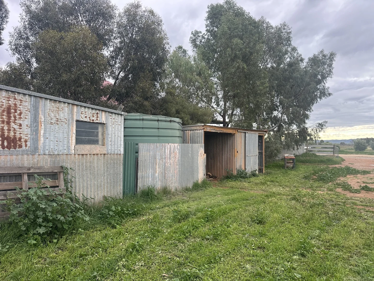 Image 12
