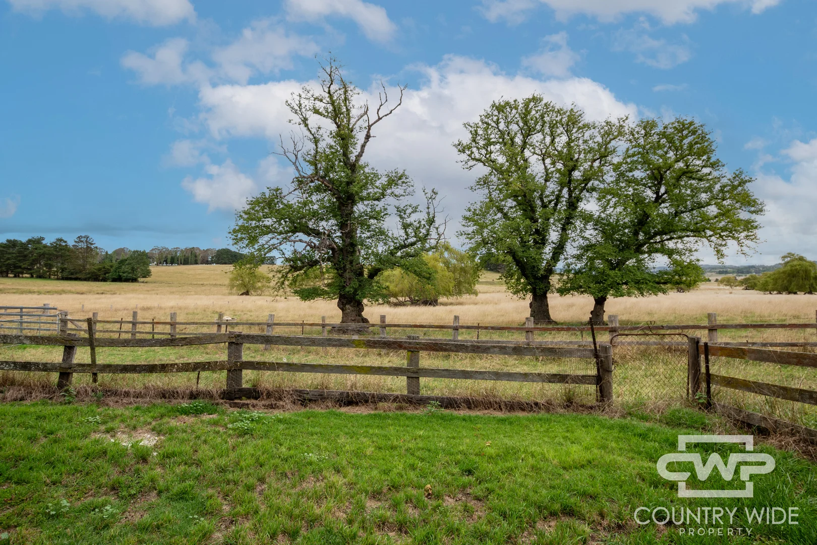 Additional image 13 of 368 Shannon Vale Road, Glen Innes NSW 2370