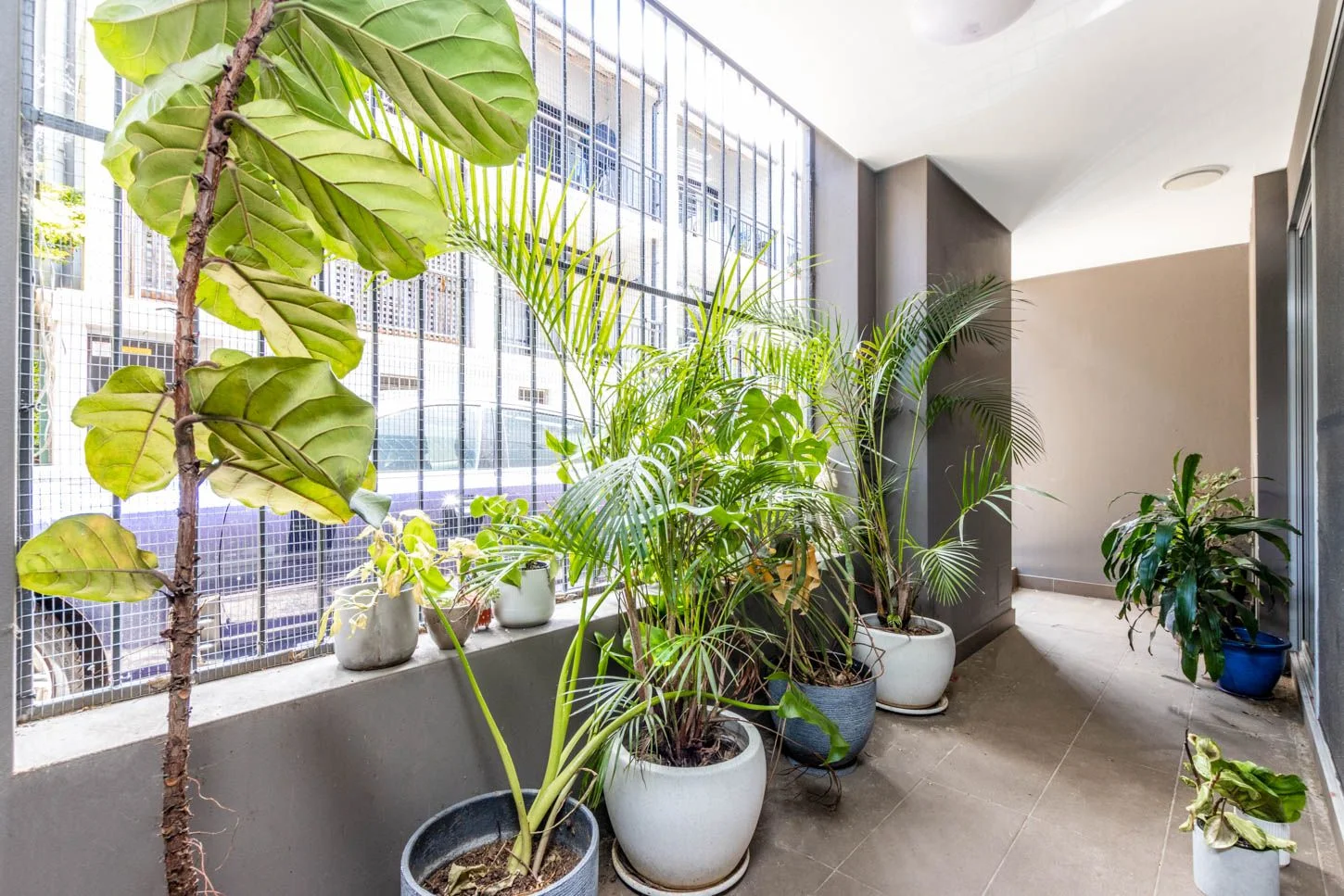 Additional image 8 of 4/177 Cathedral Street, Woolloomooloo NSW 2011