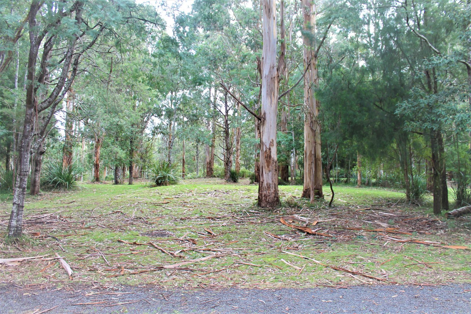 8/2260 Mt Baw Baw Tourist Road, Icy Creek VIC 3833, Image 2