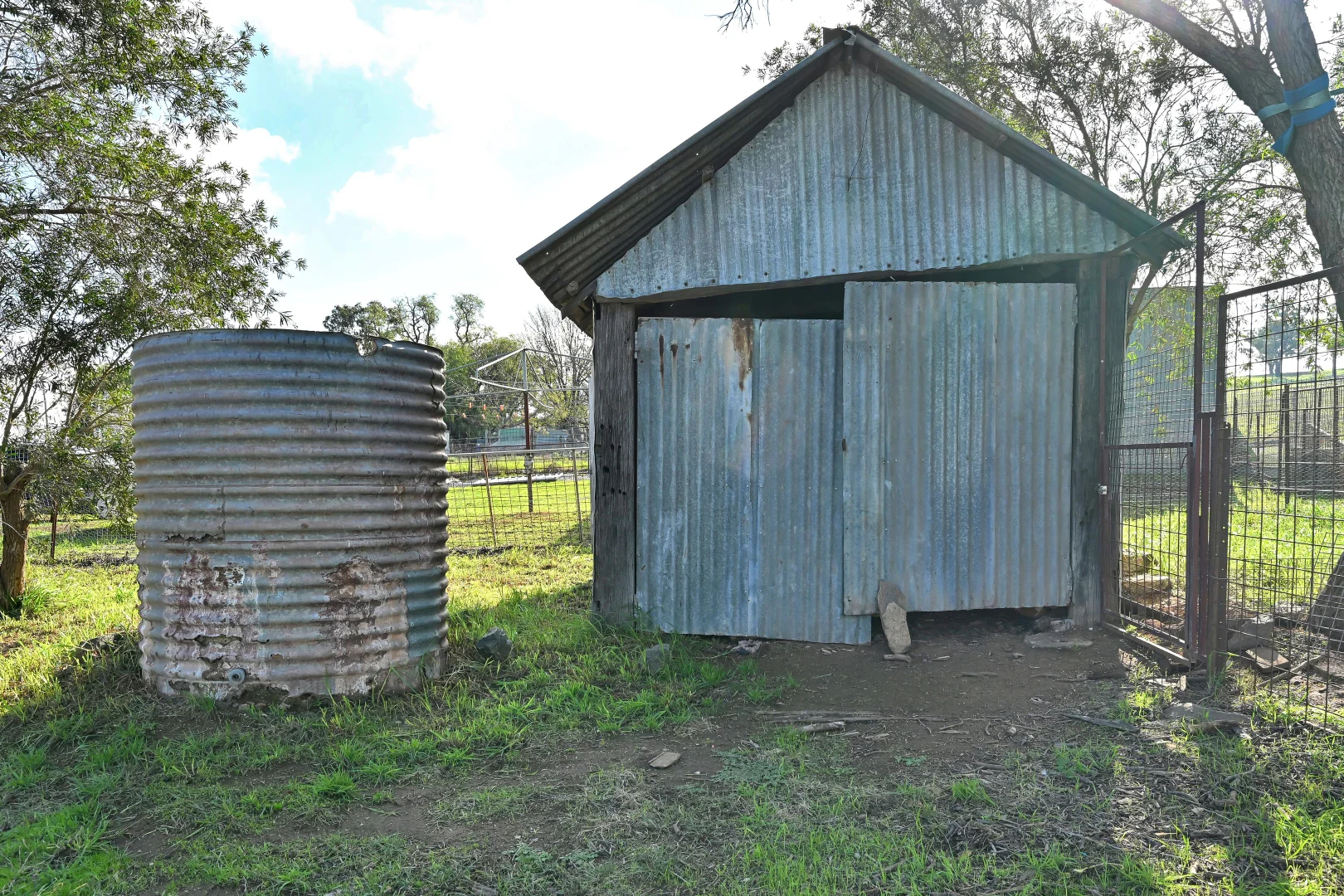 Image 7