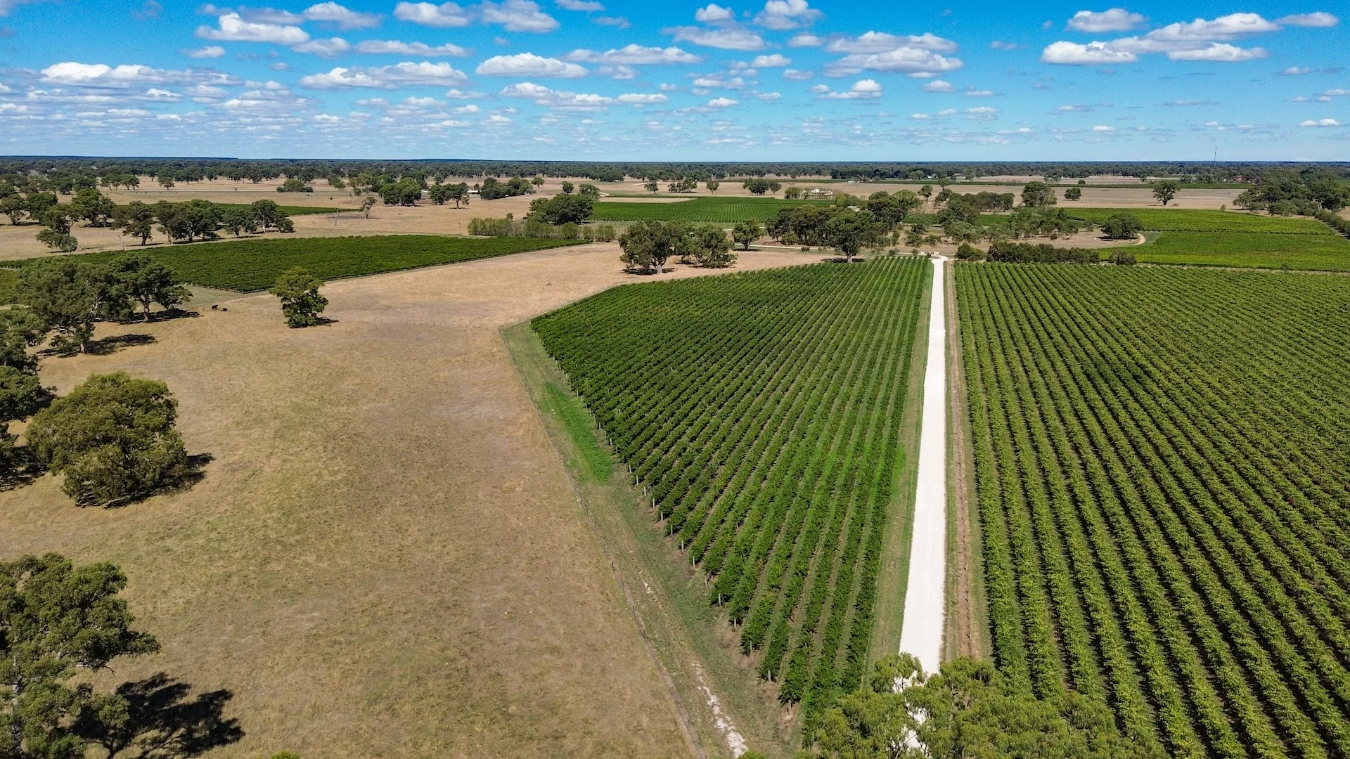 Additional image 15 of V&A Lane, Coonawarra SA 5263