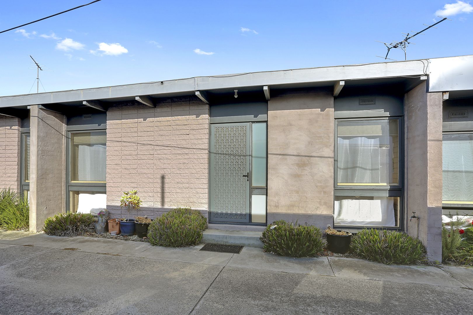3/15 Buxton Road, Herne Hill VIC 3218