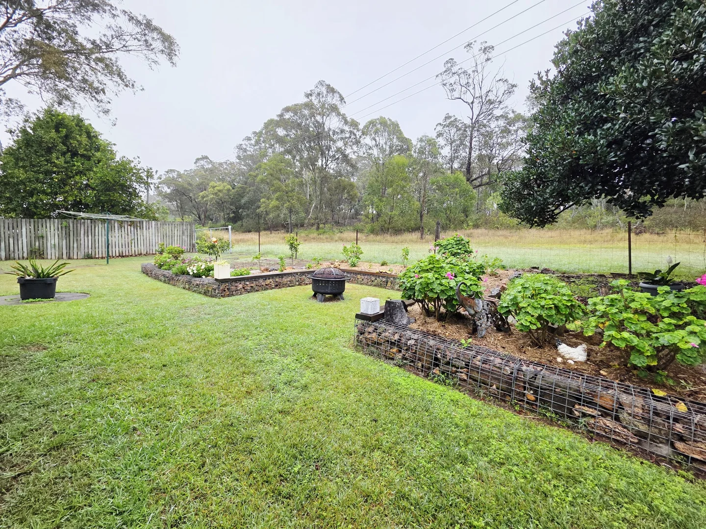 Image 14