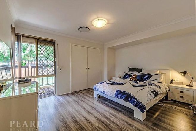 Picture of 8A Cymosa Place, MIRRABOOKA WA 6061