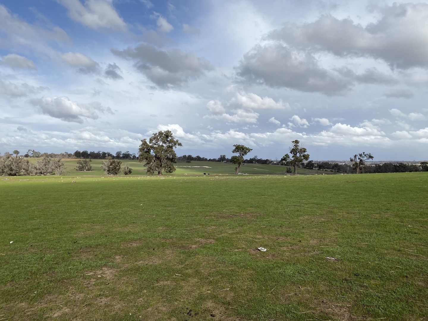 Lot 9531 Balgarup Road, Boyup Brook WA 6244, Image 0