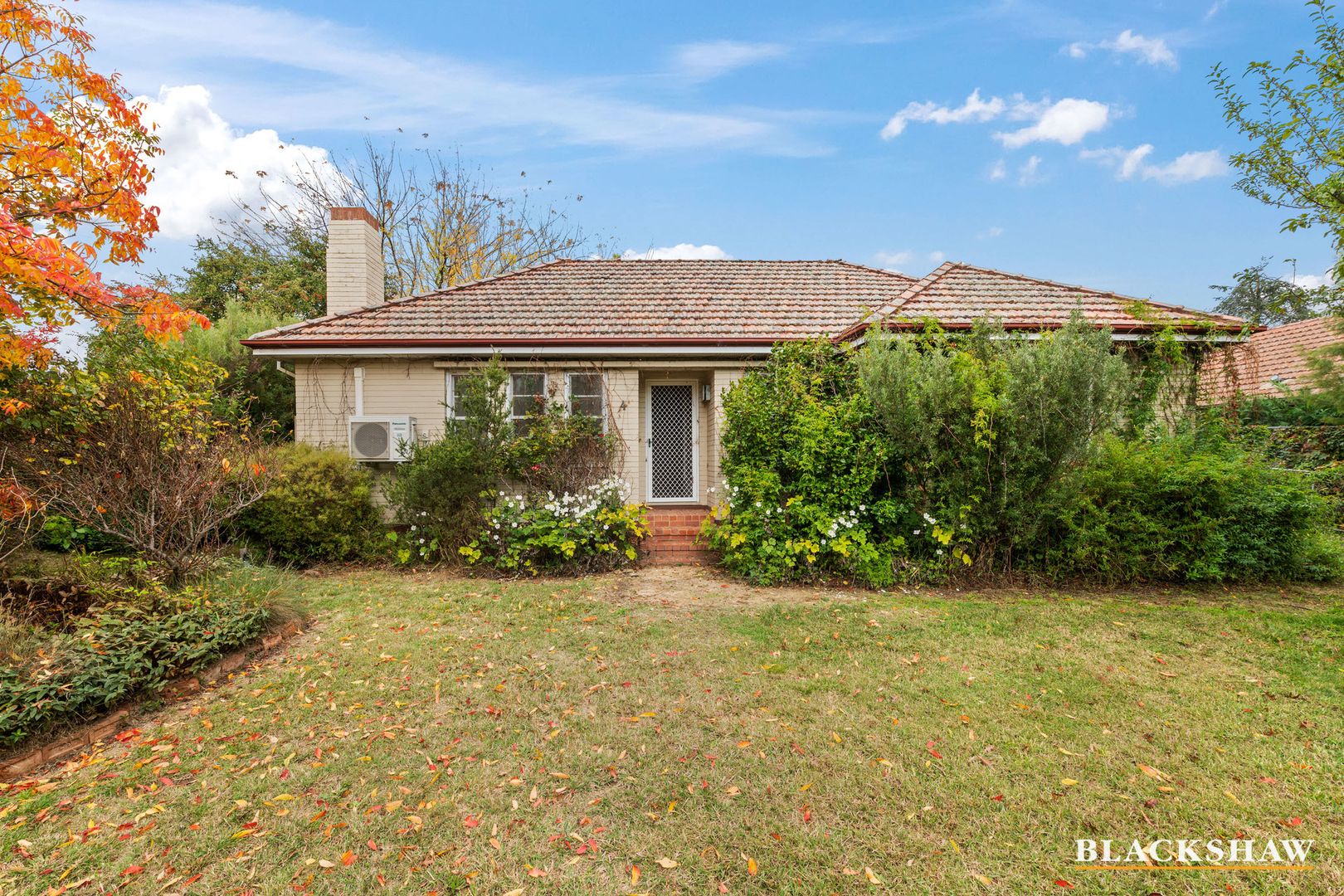 4 Mitchell Street, Griffith ACT 2603, Image 2