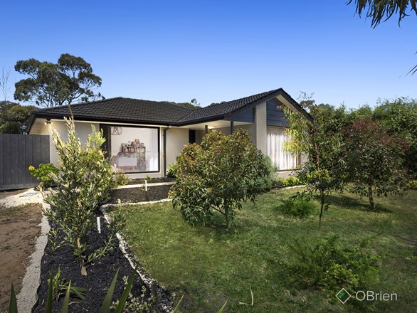 18 Padua Drive, Mornington VIC 3931