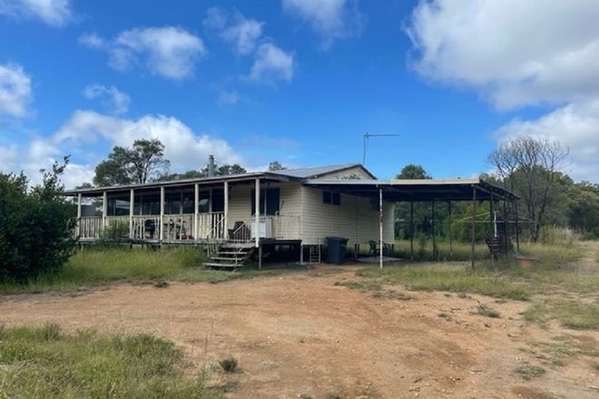 Picture of 29 Kurrajong Lane, APPLETHORPE QLD 4378