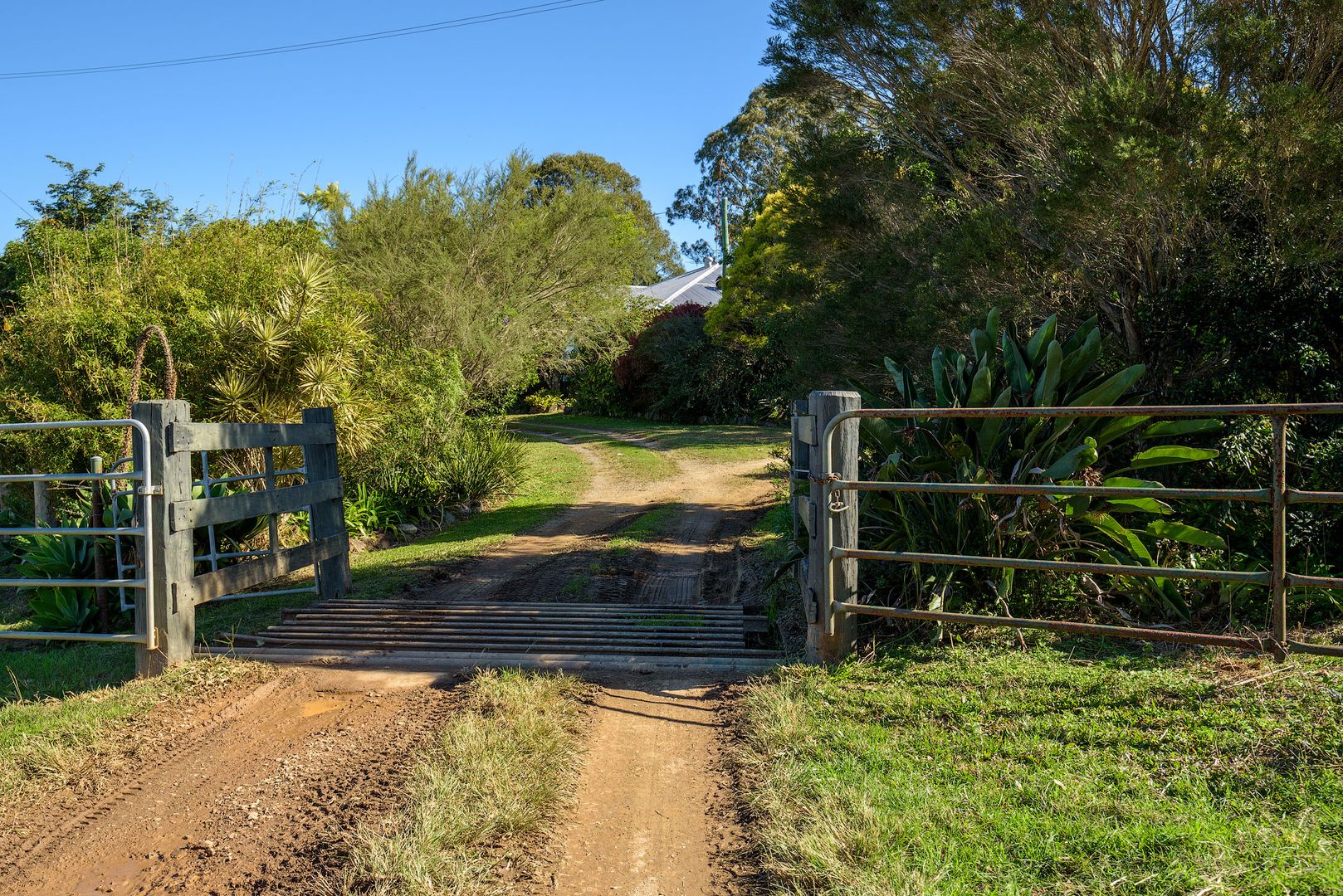 181 Hay Road, Canina QLD 4570, Image 2