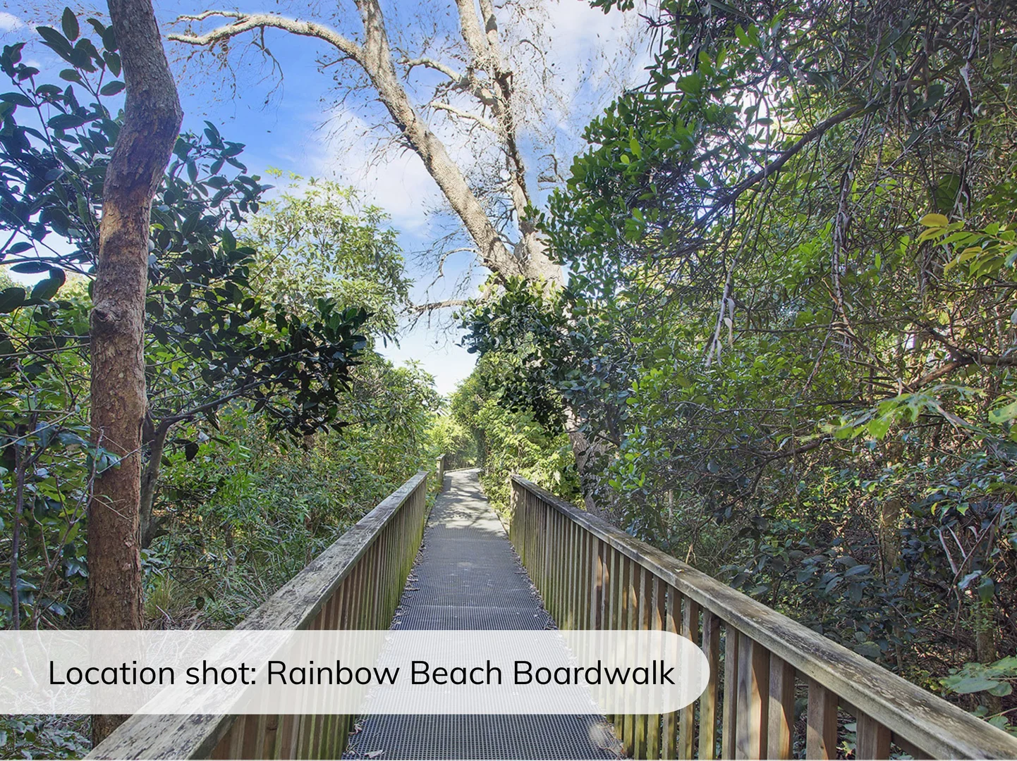 Image 16